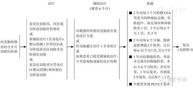 直肠癌肝转移基因检测指南,结直肠癌肝转移诊断和综合治疗