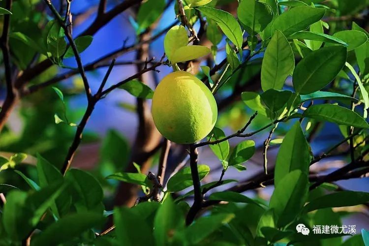 尤溪夏天旅游,关于尤溪的风景介绍