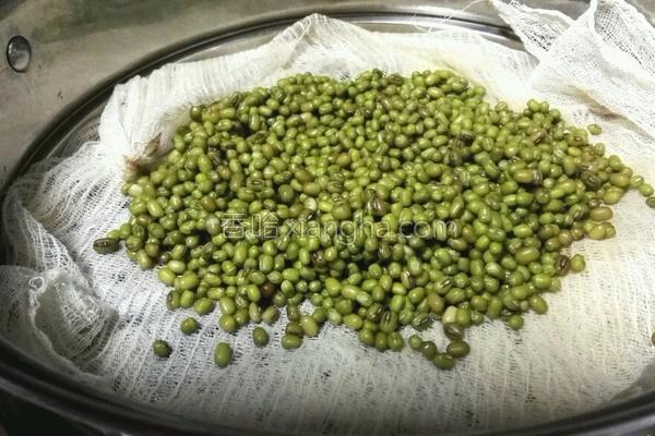 绿豆饼皮正宗做法,带皮的绿豆饼