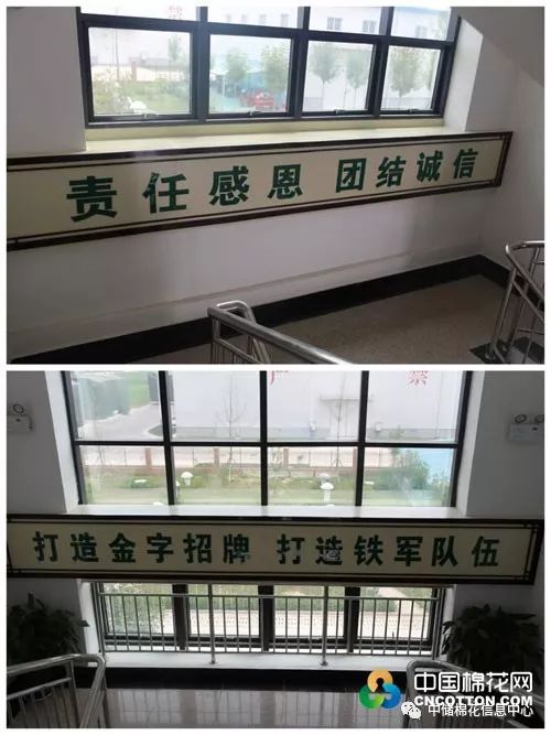 菏泽中储棉最新消息,菏泽中储棉现状