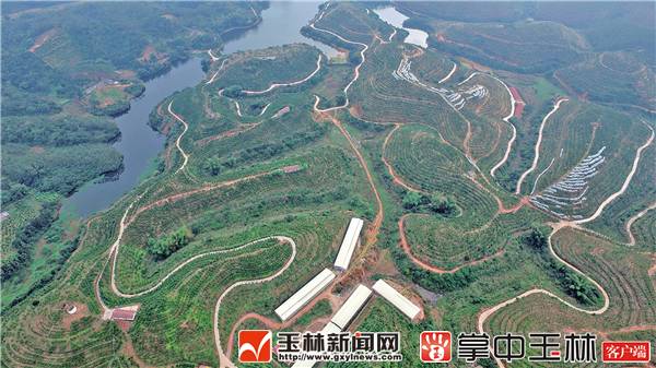 广西首批自由贸易试验区,广西开发开放试验区