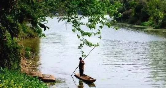 成都2020十大免费钓鱼地方,成都钓鱼地点推荐大全