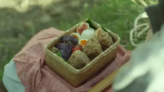 小森林生活,小森林的日常生活