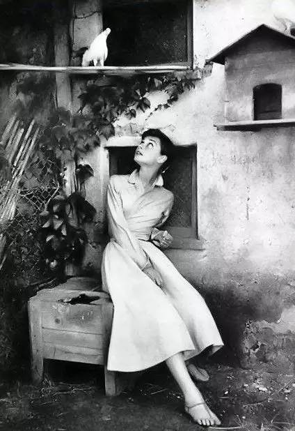 一件衬衫气质十足,一件衬衫让你更有气质