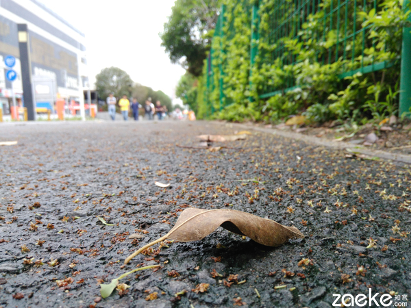 撩妹之余，无声不欢乐檬3评测