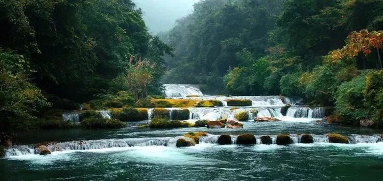 黔南原始森林风景,遇见森林风景