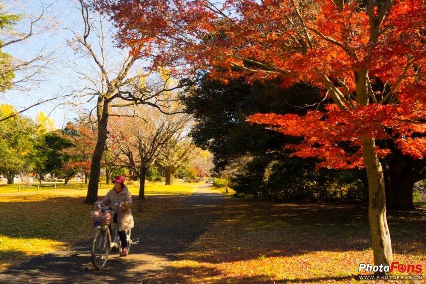 eosm6杩炵画鎷嶆憚,浣宠兘eosm6