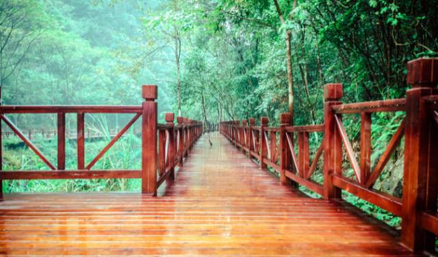 黔南原始森林风景,遇见森林风景