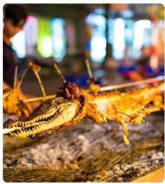 哈尔滨直飞越南芽庄,哈尔滨到越南芽庄旅游