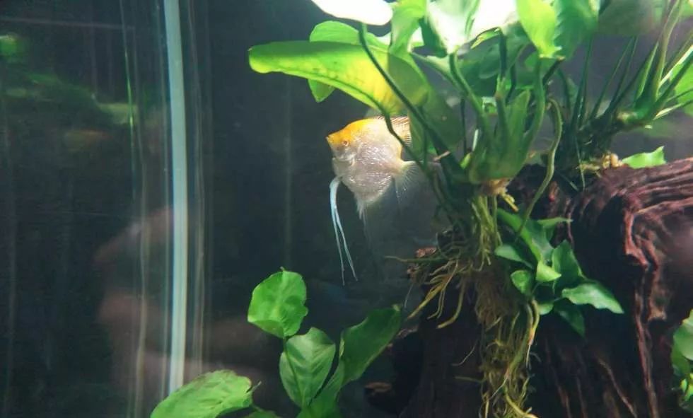 玩得细致、专业,出手不凡!