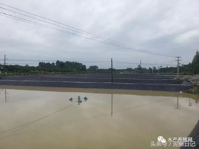 池塘会渗水漏水？老司机教你这么做，效果挺好的！