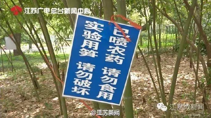 中国第一位入狱童星,曾是当红童星却在28岁入狱