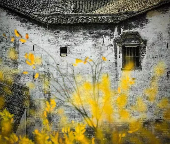 等待一个一起去旅行的人,想和一个人一起去旅行的句子