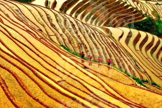 等待一个一起去旅行的人,想和一个人一起去旅行的句子