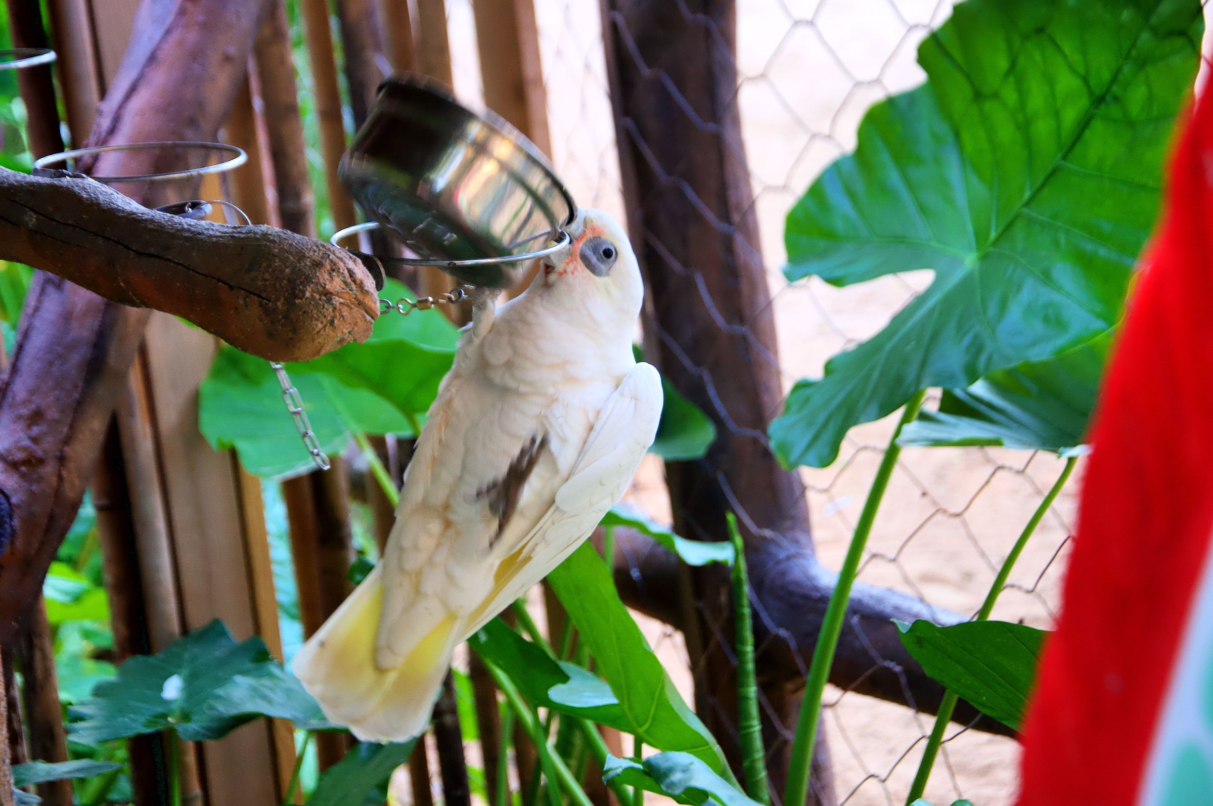 三亚度假之旅完美结束,三亚度假巨无霸五天五夜玩不腻
