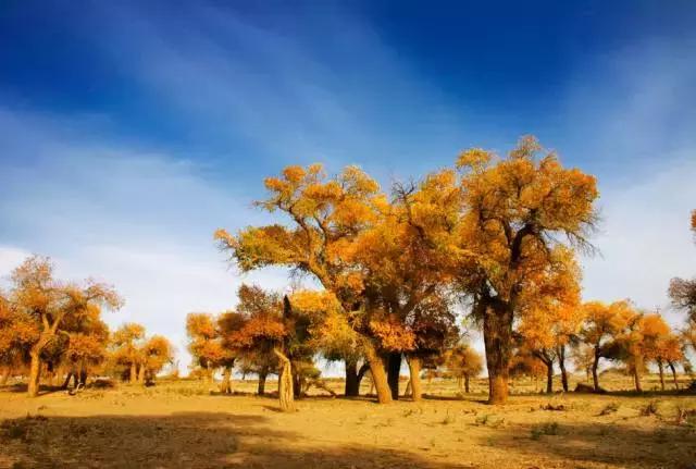 等待一个一起去旅行的人,想和一个人一起去旅行的句子