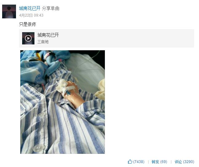 网易云十大感人催泪热评,网易云城南花已开的故事