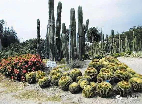 厦沙高速安溪最新消息,厦沙高速公路泉州段