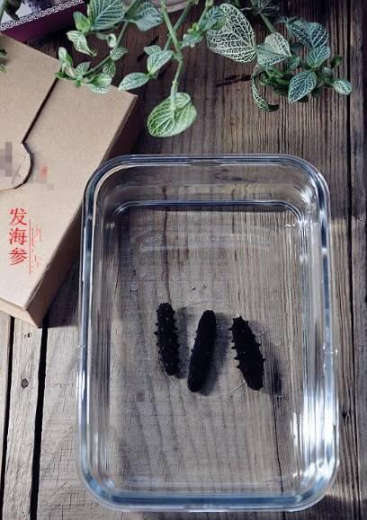 海参怎么发，发海参如此简单！六个步骤，发出标准海参
