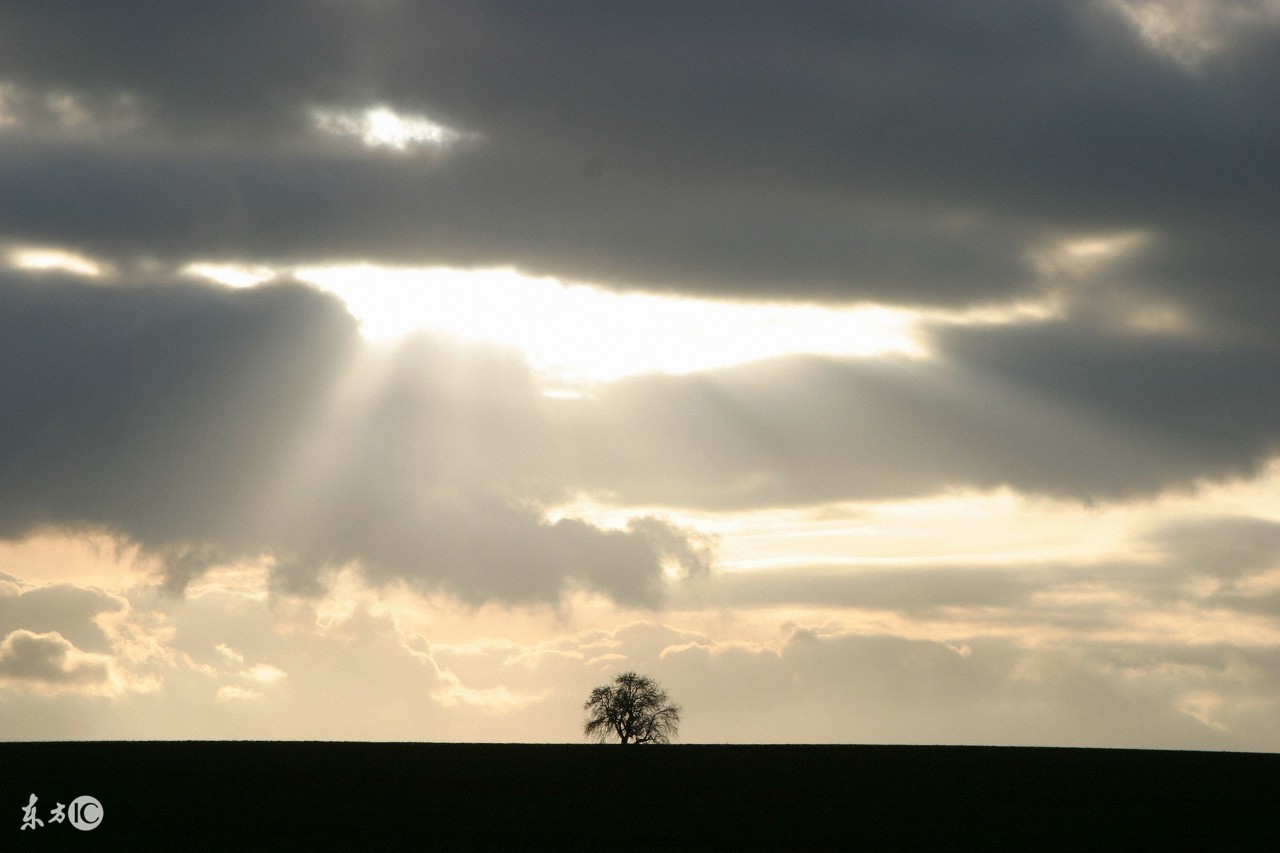 人在澳洲的生活,人在澳洲打工
