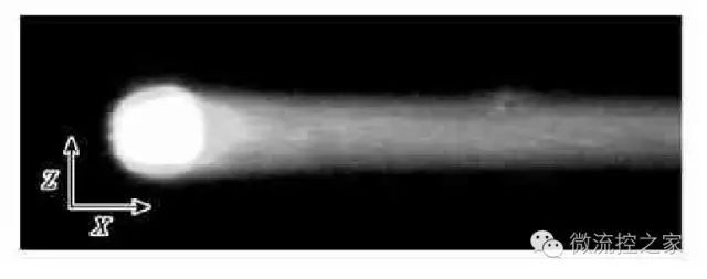 微流控在材料合成方面的应用,微流控蛋白技术