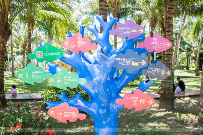 和父母的三亚之旅,带着爸妈去海岛旅游