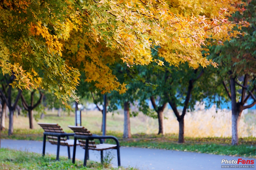 佳能eos800d摄影视频,佳能eos800d拍出来是黑白的