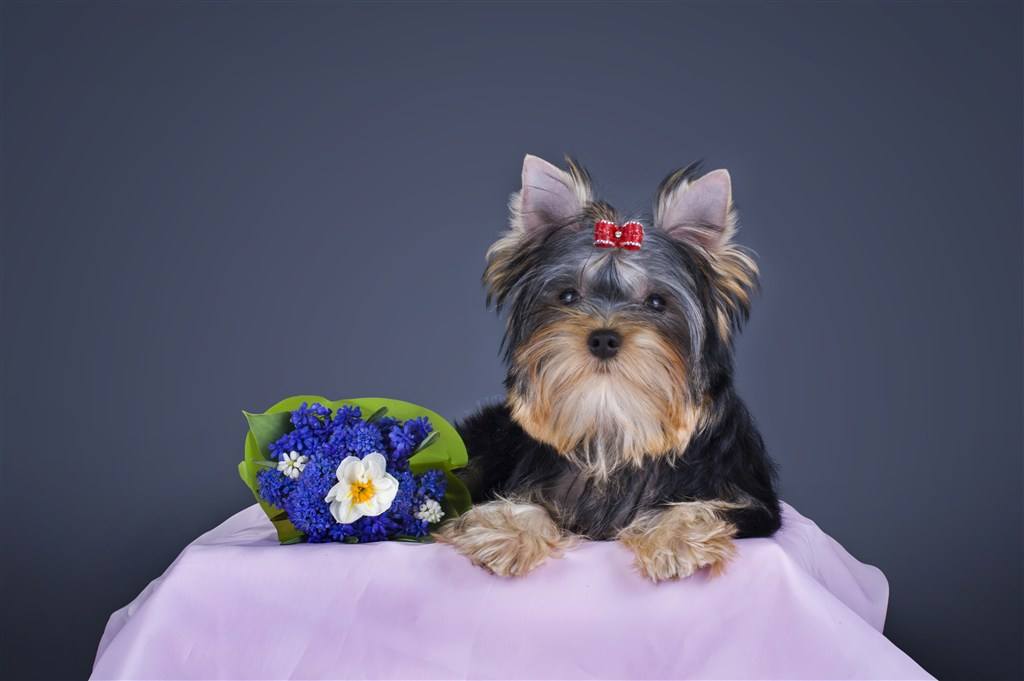 推荐十个90后白手起家的创业点子,0元白手起家创业点子自己创业