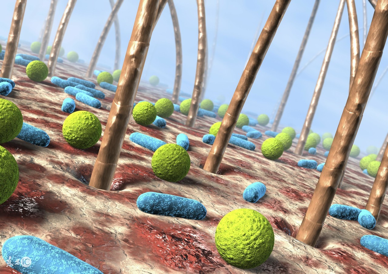 毛囊炎要怎么治疗才能彻底根除,如何防治毛囊炎