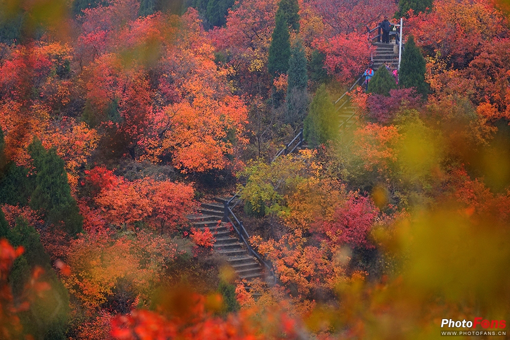 佳能eos800d摄影视频,佳能eos800d拍出来是黑白的