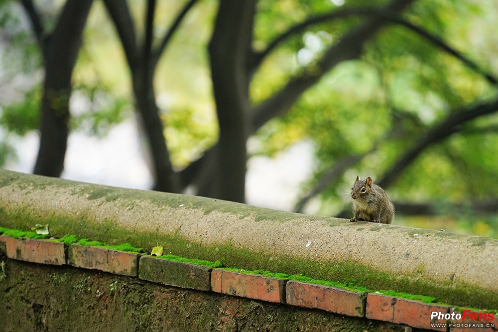 佳能eos800d摄影视频,佳能eos800d拍出来是黑白的