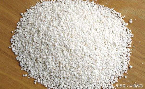 为何总种不好多肉?深扒多肉颗粒土那点事儿