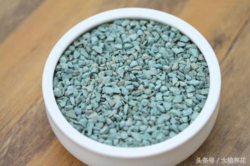 为何总种不好多肉?深扒多肉颗粒土那点事儿