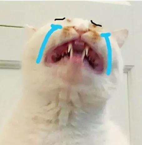 50元买个香奈儿,一万块钱香奈儿能买到啥