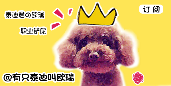 狗狗打喷嚏搞笑哈士奇,狗狗打喷嚏逗笑众人