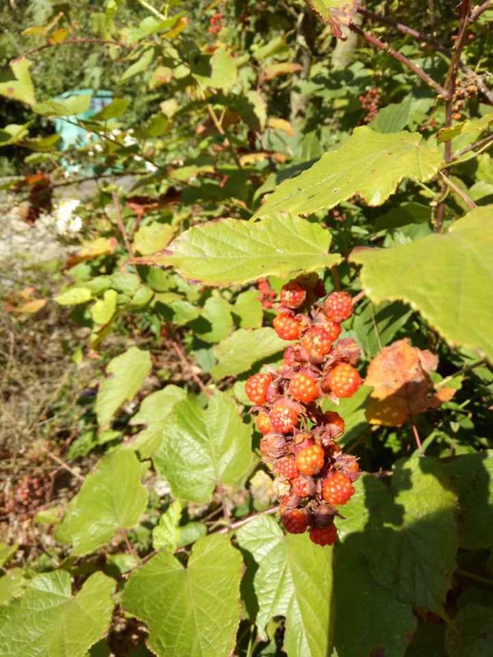 带你们看看湖南的大山风景,湖南一座被遗忘的山