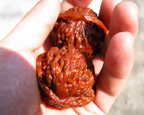 文玩核桃大神级玩法,盘玩一段时间的核桃怎么清洗