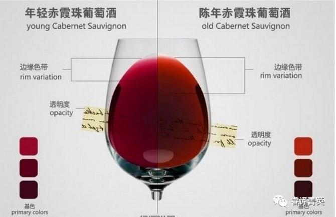 「睿译足迹」法兰西风情(二):法国美酒