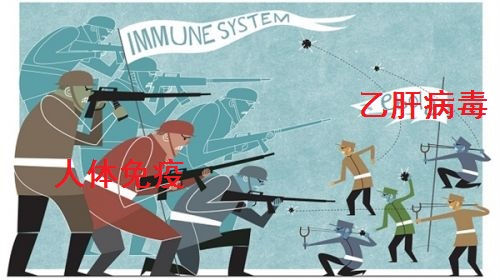 乙肝两对半第25项阳性,乙肝25阳性dna阳性是得了乙肝吗