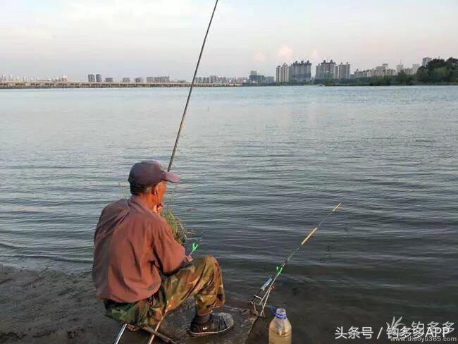 钓鱼圈天赋,学钓鱼从零开始野钓选鱼钩