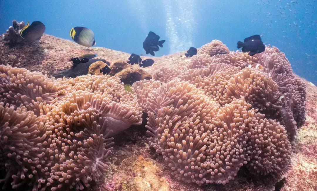 东南亚旅游性价比最高推荐哪里,东南亚最适合穷游的10个美景地