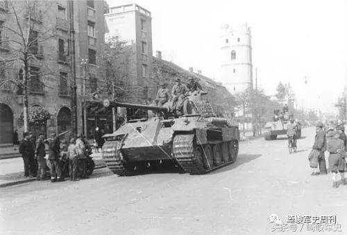 矢车菊凋谢在多瑙河畔：*党**卫军第22“玛丽亚·特蕾莎”骑兵师简史