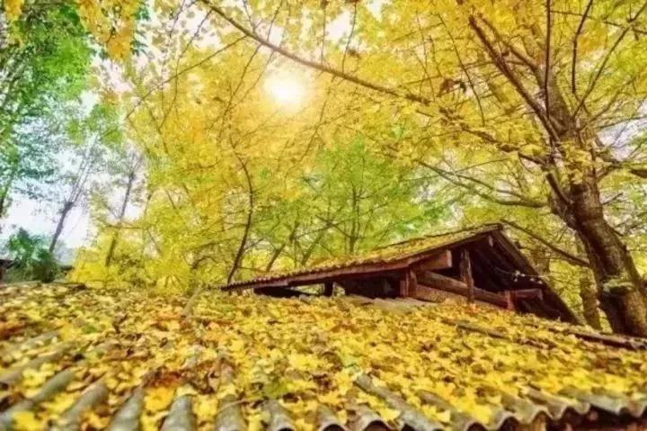 腾冲航线,2023年腾冲直飞航线