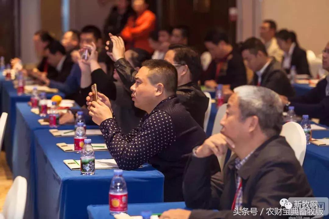 黎小兵、梁彦明、洪平、余平、袁建康、杨正宏等大咖齐聚一堂