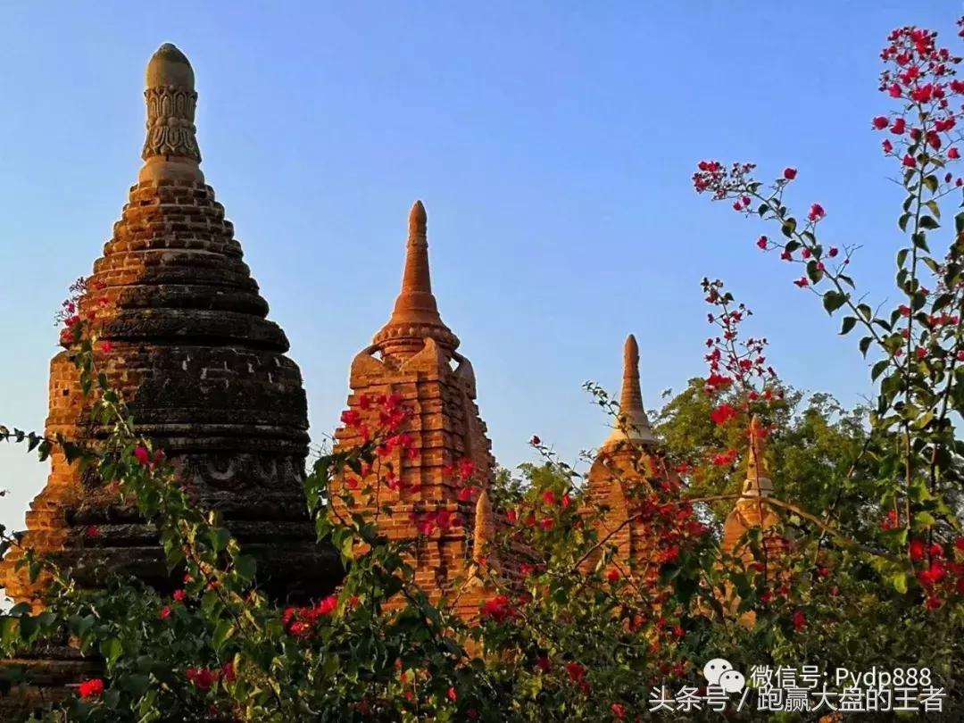 市场下跌果断加仓,市场大跌选股思路