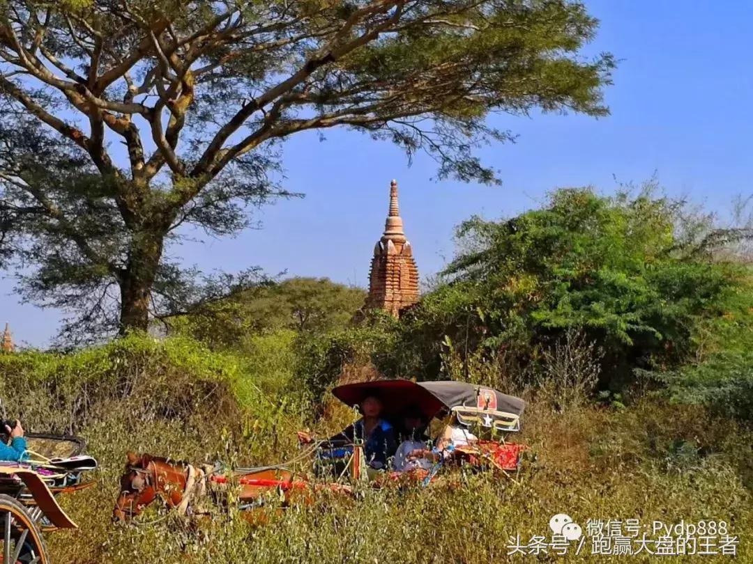 市场下跌果断加仓,市场大跌选股思路