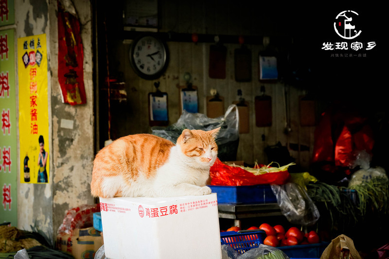 炸根油条，摊个鸡蛋饼，遛红梅公园，环抱半个常州老城区