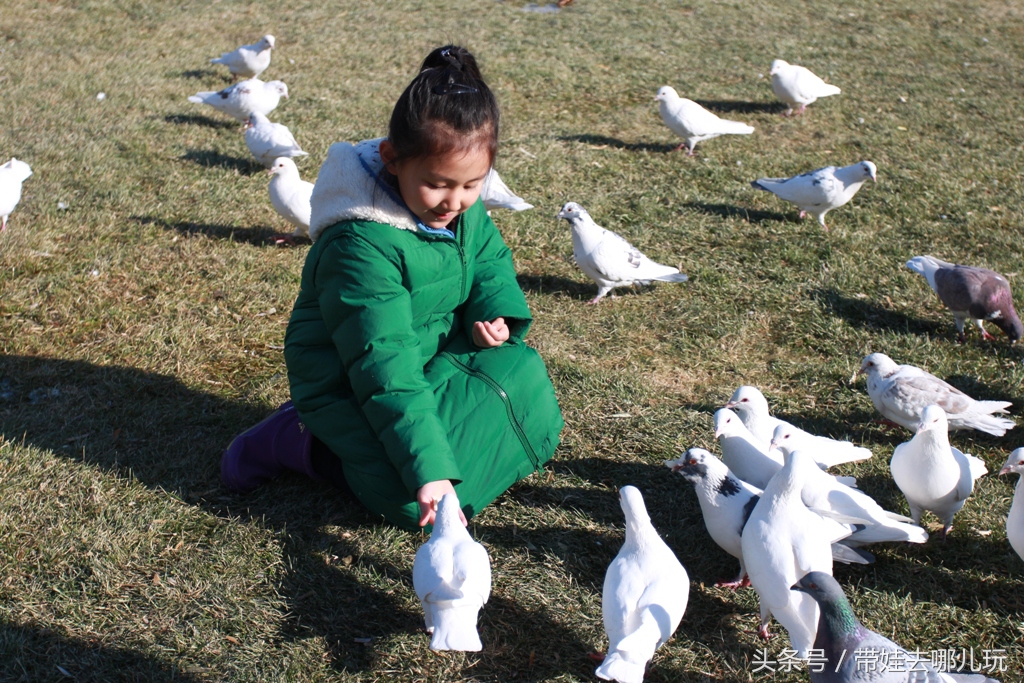 奥森附近小动物乐园,奥森公园世外桃源