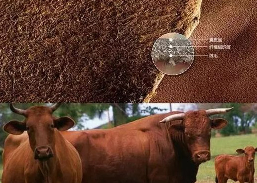 怎么看是不是真皮包,包包怎样看是真皮还是皮革