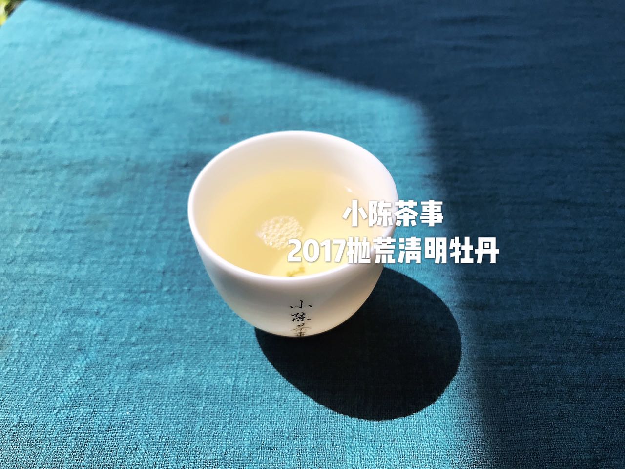 白茶知识100问,20秒了解白茶全集